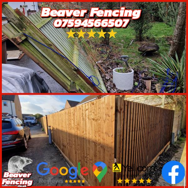 Beaver Fencing