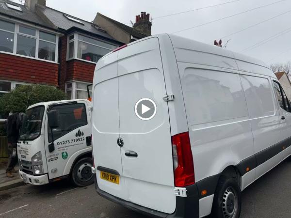 Brighton Tree Specialists