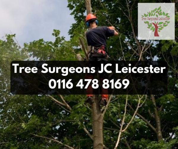 Tree Surgeons JC Leicester