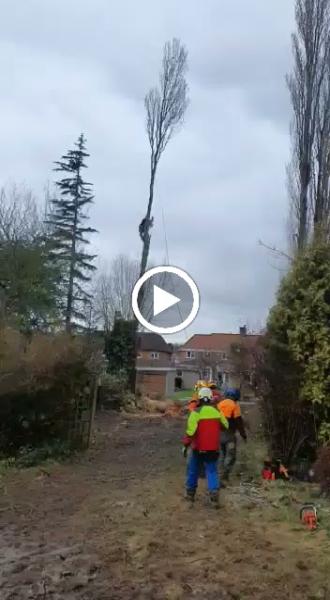 Tree Surgeons JC Leicester