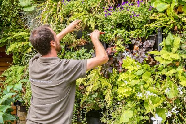 Organic Gardens