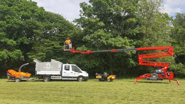 Essex Tree Masters