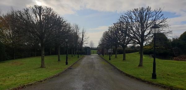 Power Plant & Tree Surgeon Bridgend