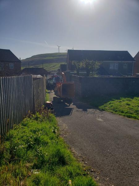 Power Plant & Tree Surgeon Bridgend