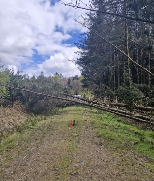 Power Plant & Tree Surgeon Bridgend