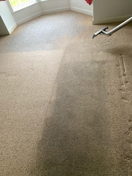 Belfast Carpet Cleaning