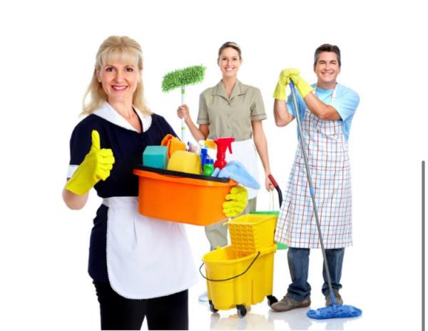 Blue Stone Cleaning Services LTD