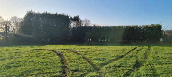 Tree Musketeers Lancashire