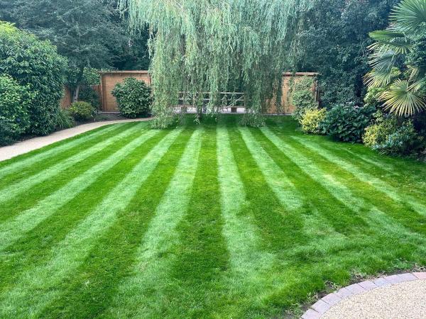 Will's Norfolk Lawns Limited
