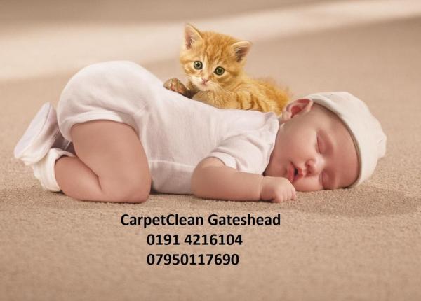 Carpetclean