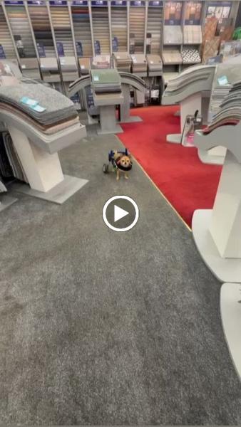Inspired Carpets & Beds Centre
