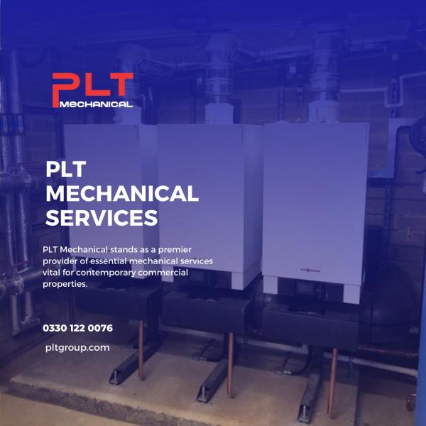 PLT Group Limited