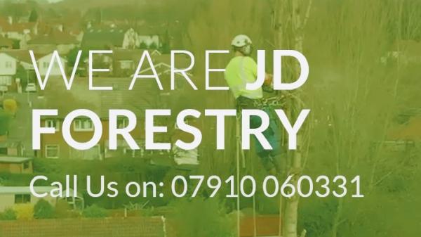 JD Forestry Ltd