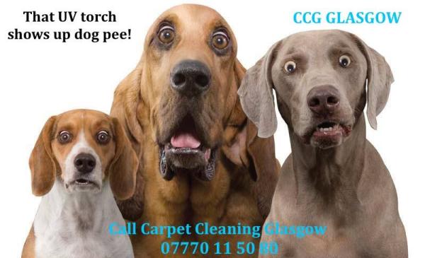 Carpet Cleaning Glasgow