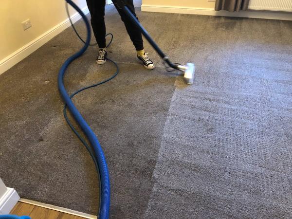 Rayson's Carpet Cleaning