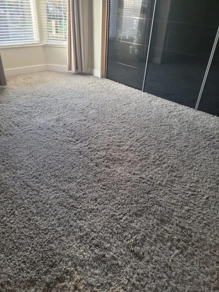 Rayson's Carpet Cleaning