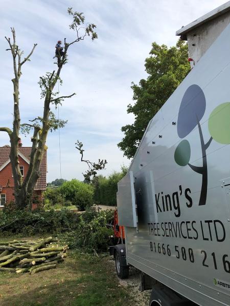 King's Tree Services Ltd