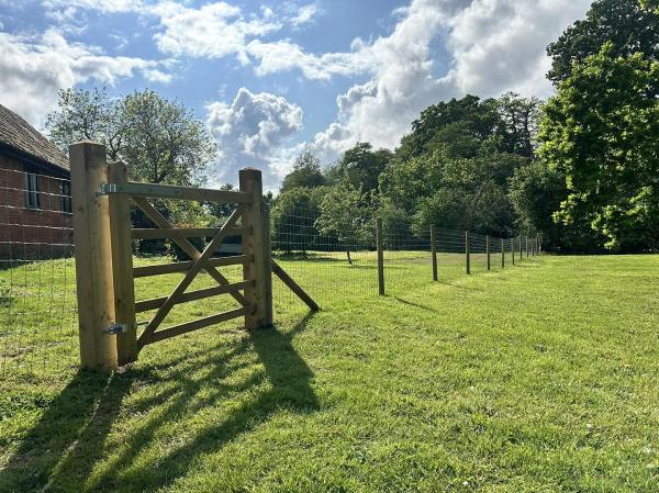 A Brown Trees and Fencing