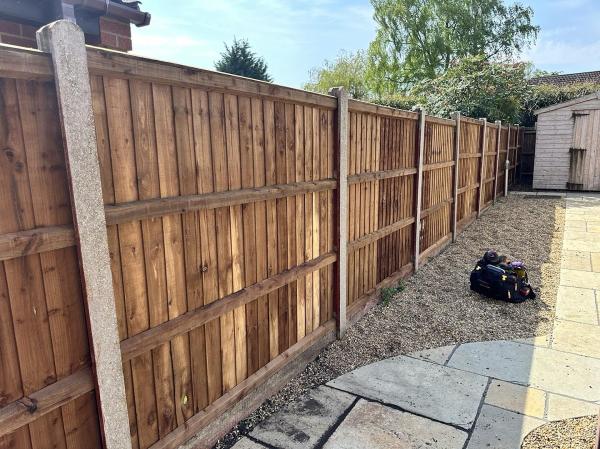 A Brown Trees and Fencing