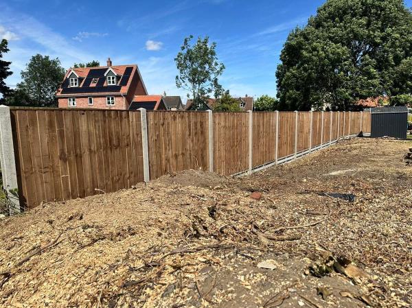 A Brown Trees and Fencing