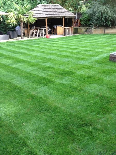 Surrey Lawn Care Services