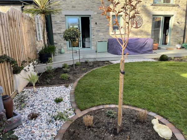 Eleanor Terry Garden Design and Landscaping