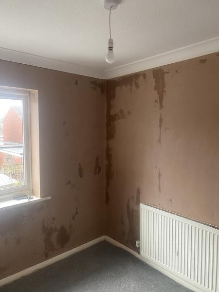 Ant's Plastering Services