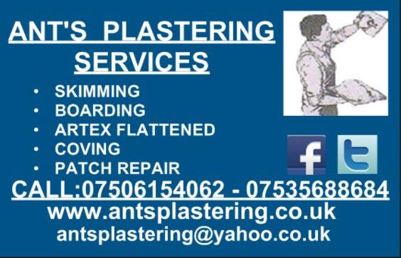 Ant's Plastering Services