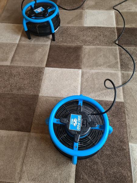 Crawley Carpet Cleaning