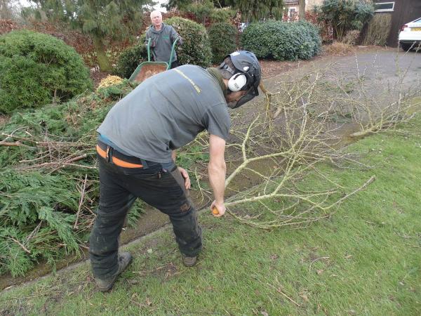 Nene Valley Tree Services