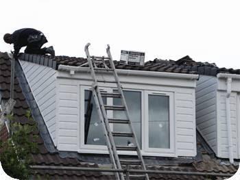 Kingson Roofing Building & Construction