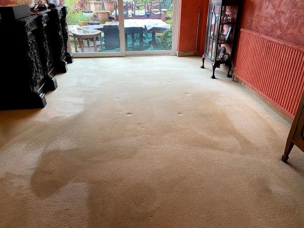 Specialist Carpet & Cleaning Services (Sccs-Stoke)