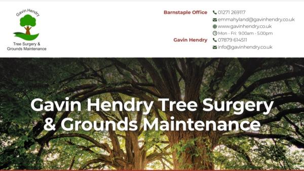 Gavin Hendry Tree Surgery & Grounds Maintenance