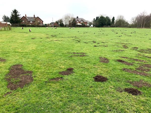 Tornado Pest Control