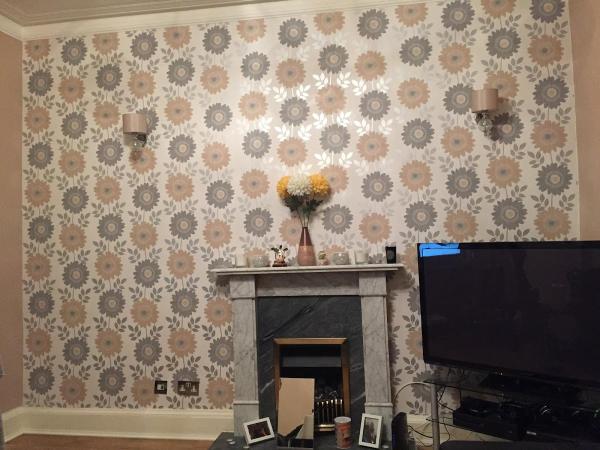 Pol-Decor Painting and Decorating