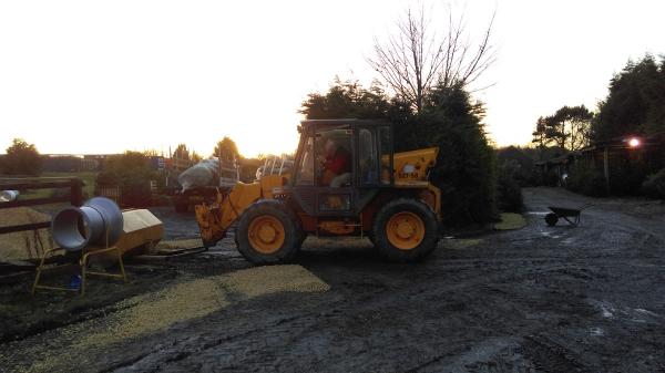 Castle Eden Christmas Trees