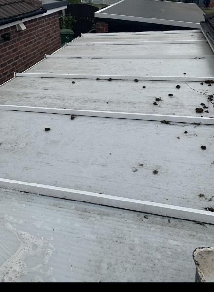 Gemini Window Cleaning