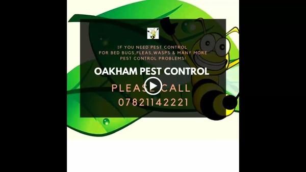 Oakham Pest Control