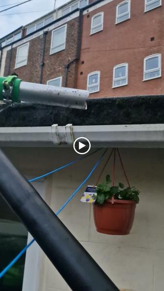 Alpine Exterior Cleaning LTD