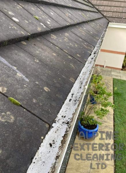Alpine Exterior Cleaning LTD
