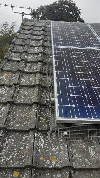 Essex & Suffolk Pest Solutions