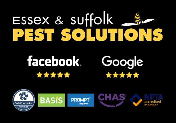 Essex & Suffolk Pest Solutions