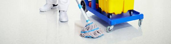 Elohim: Commercial Cleaning