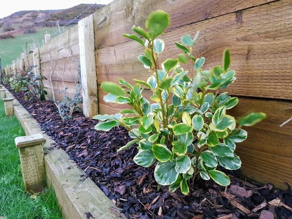 Neil Perrin Garden & Home Maintenance