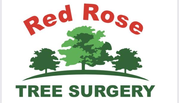 Red Rose Tree Surgery