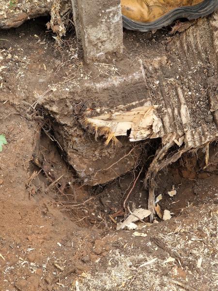 Kingswinford Tree Surgery