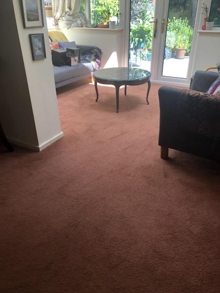 North East Carpet Cleaning
