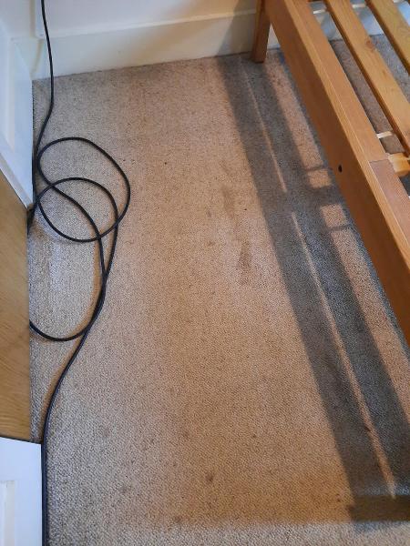North East Carpet Cleaning