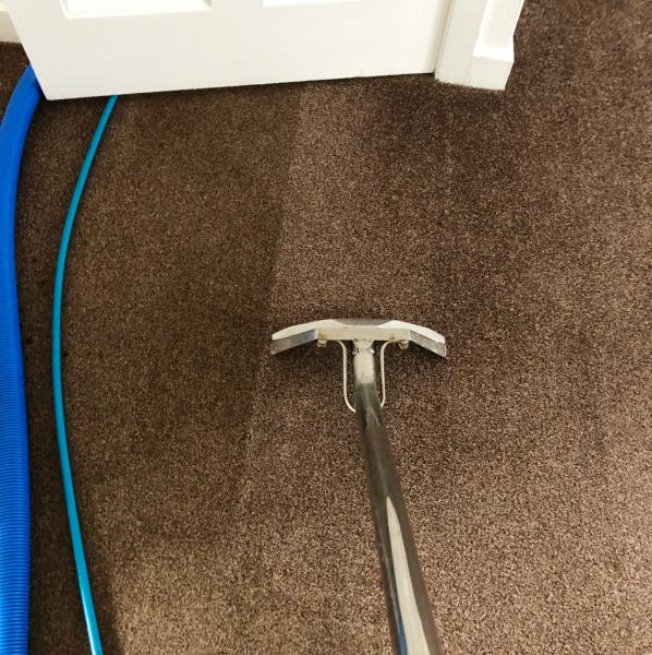 Pro-Carpet Cleaning