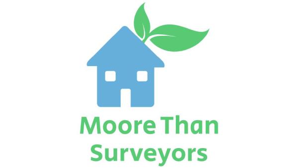 Moore Than Surveyors
